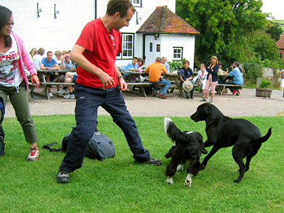 Playing fetch with dogs at the Tiger Inn, East Dean village, East Sussex