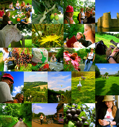 Photo montage of English Country Walks day trip to Bodiam Castle