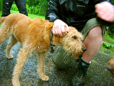 Ross cuddles a wet dog at Lower Northlands Farm, Bodiam