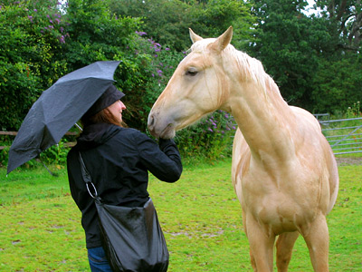 Elena and horse at Court Lodge Farm, Bodiam