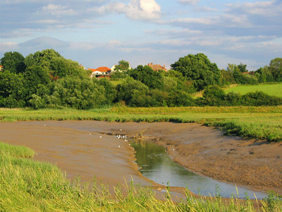Low tide on the Roman River between Fingringhoe and Rowhedge
