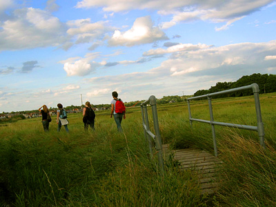 English Country Walks group crossing the Roman River marshes near Rowhedge