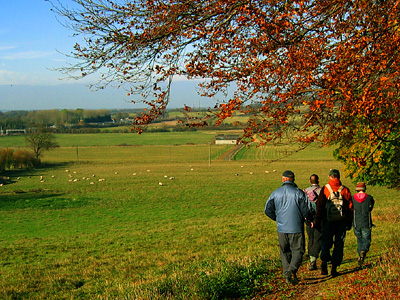 English Country Walks group on the path into Aldbury, November 2007