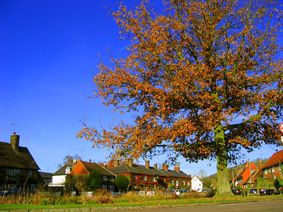 Aldbury village