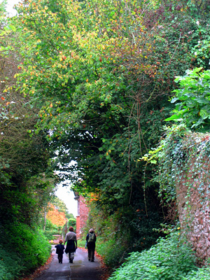 English Country Walks group on a country lane in the village of Ash Priors, Somerset