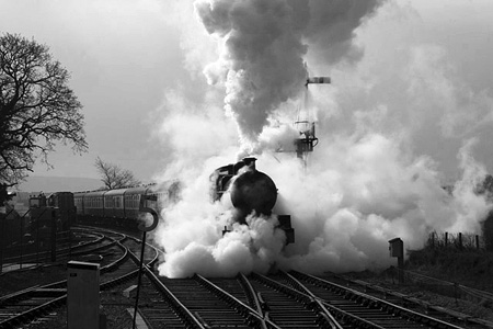 Steam train at Bishops Lydeard