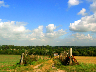 Farm track near Amesbury, Wiltshire