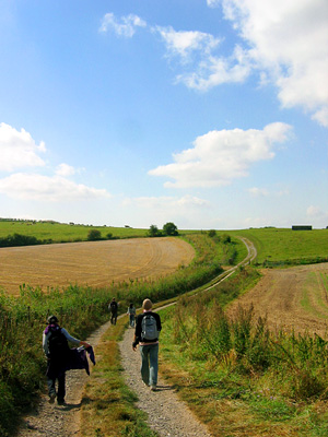 Rolling Wiltshire countryside near Amesbury