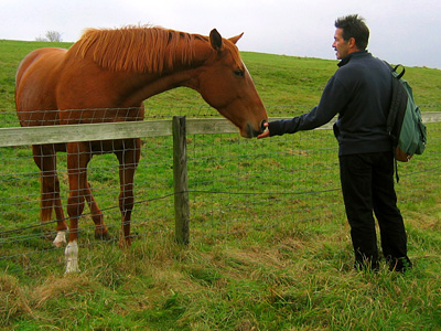 Brad feeding a horse near Springbottom Farm