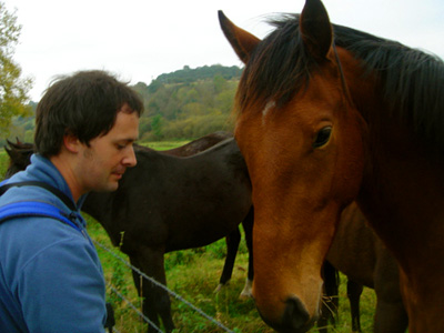 David feeding horses near Springbottom Farm