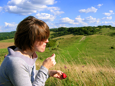 Eating plums at Ivinghoe Beacon