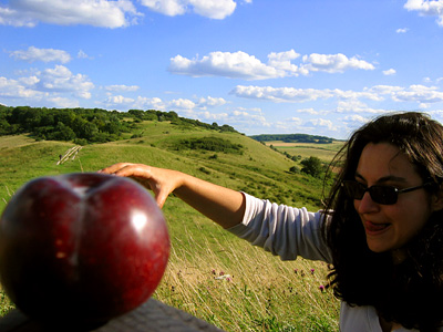 Lizzie with giant plum, Ivinghoe Beacon